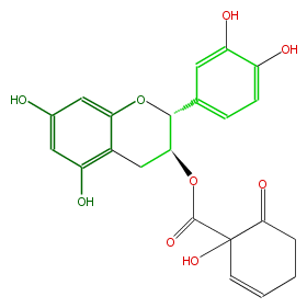 FL63ACNS0024.png