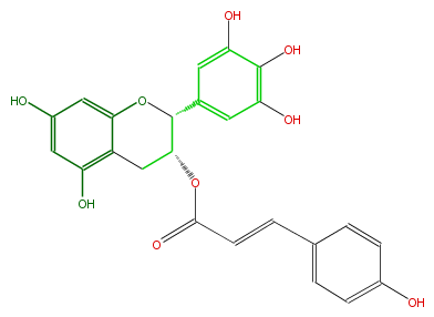FL63AGNN0002.png