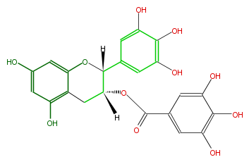 FL63AGNS0001.png