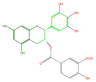 FL63AGNS0016.png