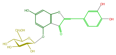 FL1AACGS0001.png