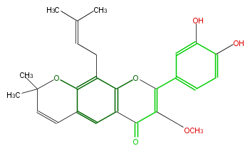FL5F1CNP0003.png