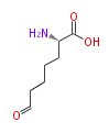 BMAXS6AL0001.png