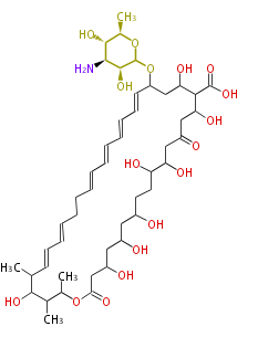 Nystatin.Mol.png