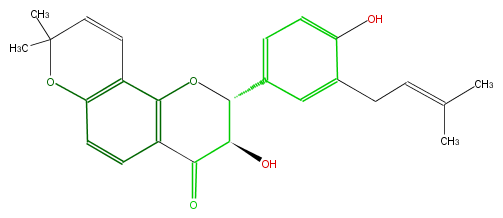 FL4D1ANP0001.png