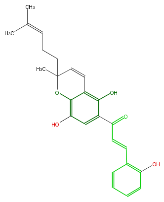 FL1C28NP0001.png