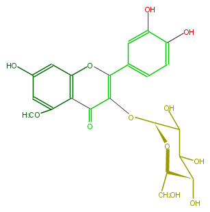 FL5FBCGL0001.png