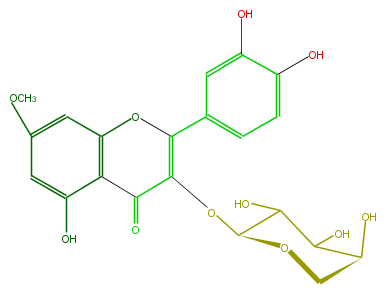 FL5FCCGS0002.png