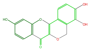 FL5FPTNS0006.png