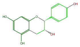 FL63AANS0002.png