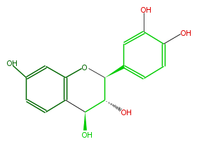 FL6D1CNS0004.png