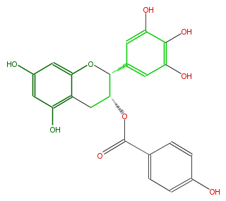 FL63AGNS0015.png