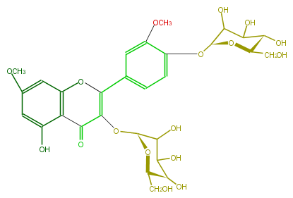 FL5FCDGA0002.png