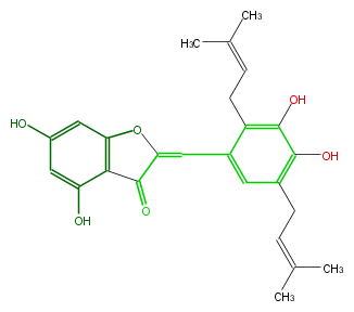 FL1AACNI0002.png