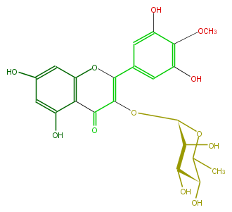 FL5FAJGS0001.png