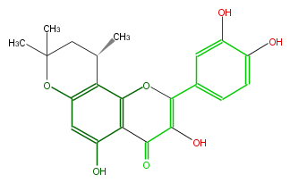 FL5FACNP0001.png