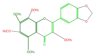 FL5FGCNS0024.png