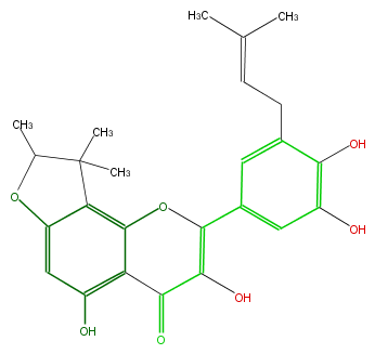 FL5FACNF0002.png