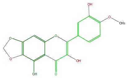 FL5FECNS0045.png