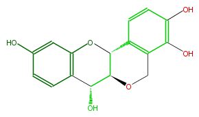 FL6DPTNS0004.png
