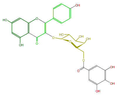 FL5FAAGA0029.png