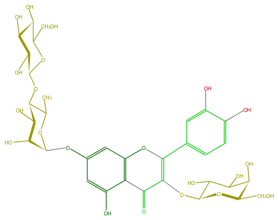 FL5FACGA0025.png
