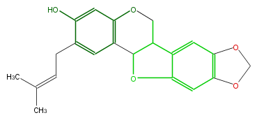 FLID1CNI0001.png