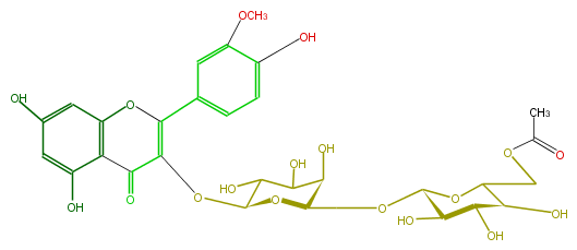 FL5FADGA0023.png