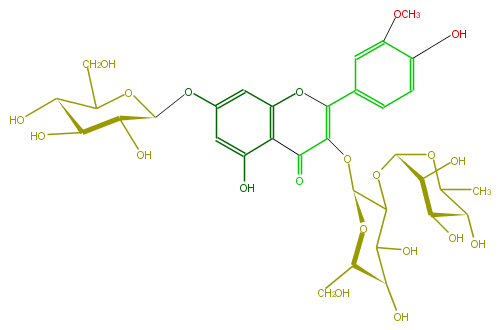 FL5FADGA0017.png