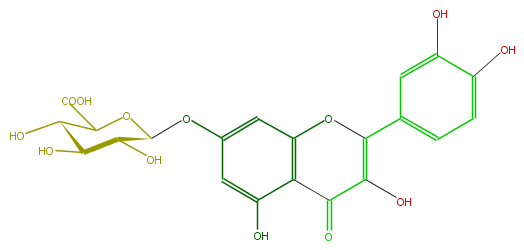 FL5FACGS0016.png