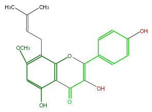 FL5FCANI0001.png