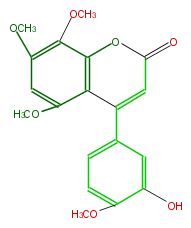 FLNAFCNS0004.png
