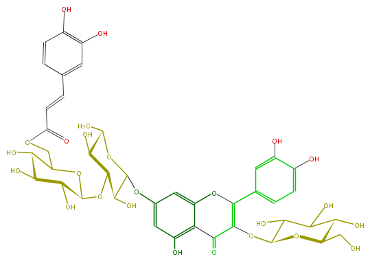 FL5FACGL0079.png