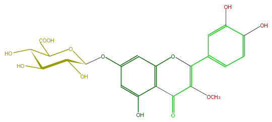 FL5FDCGS0005.png