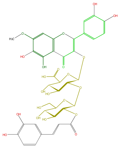 FL5FECGS0064.png