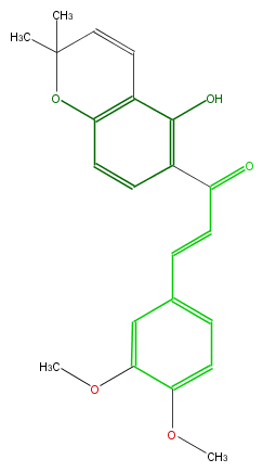 FL1C1CNP0003.png