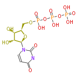 BMMCPYUR0019.png