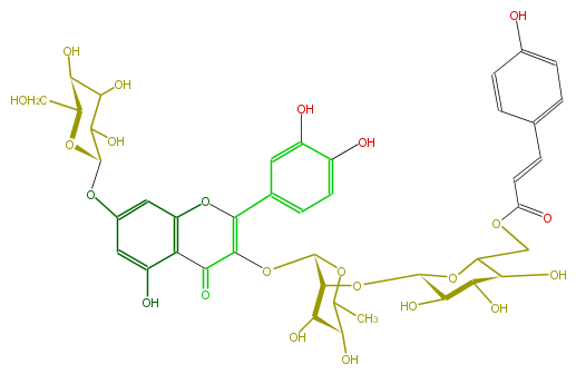 FL5FACGS0058.png