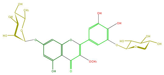 FL5FDGGS0004.png