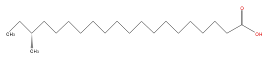 LBF20000BC01.png