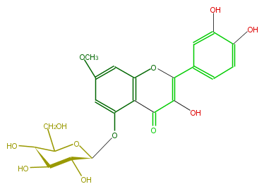 FL5FCCGS0004.png