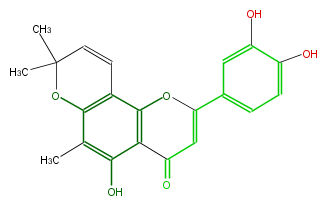 FL3FACNP0001.png