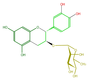 FL63ACGS0007.png