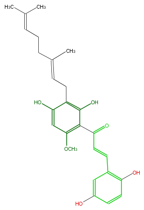 FL1CA8NI0001.png