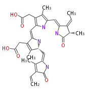 BMCCPPBL0007.png