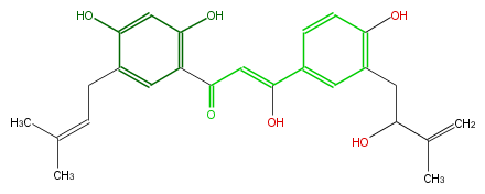 FL1CHYNI0005.png