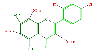 FL5FGLNS0001.png