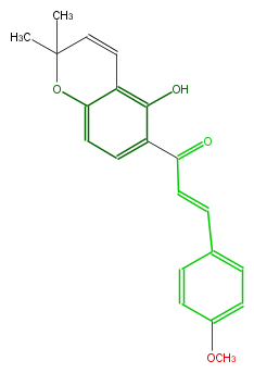 FL1C1ANP0004.png