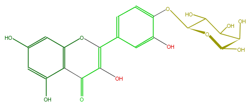 FL5FACGS0063.png