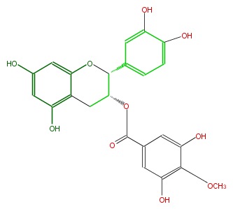FL63ACNS0010.png